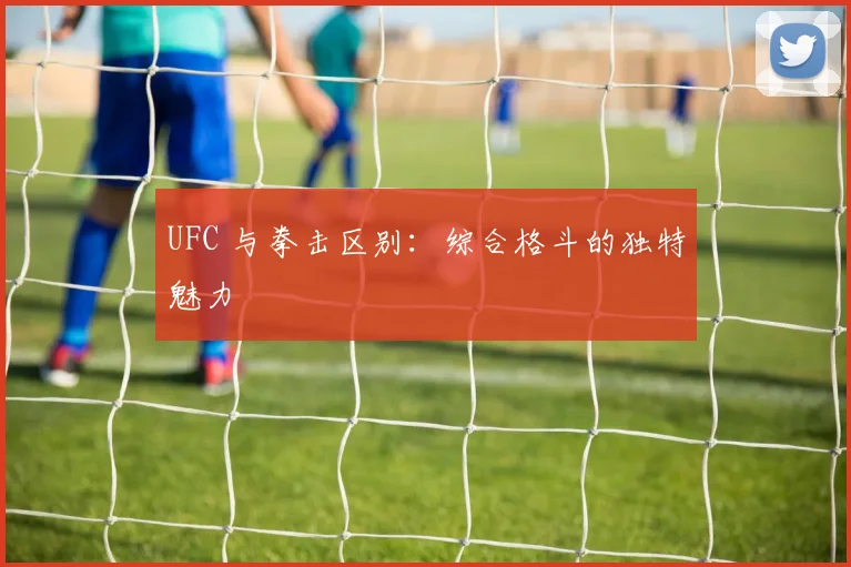 UFC 与拳击区别：综合格斗的独特魅力