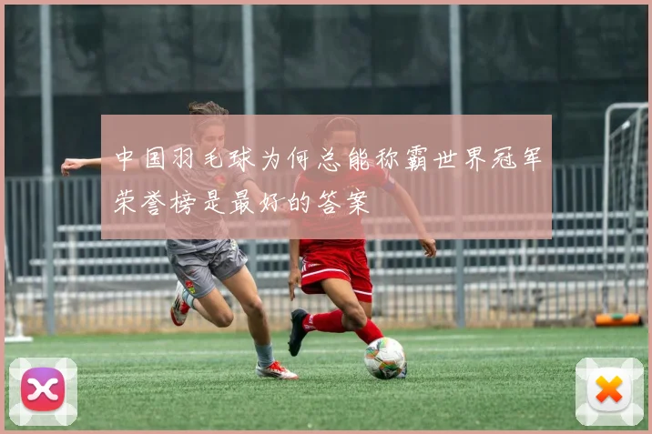 中国羽毛球为何总能称霸世界冠军荣誉榜是最好的答案