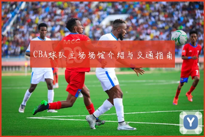 CBA球队主场场馆介绍与交通指南